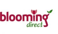 BloomingDirect