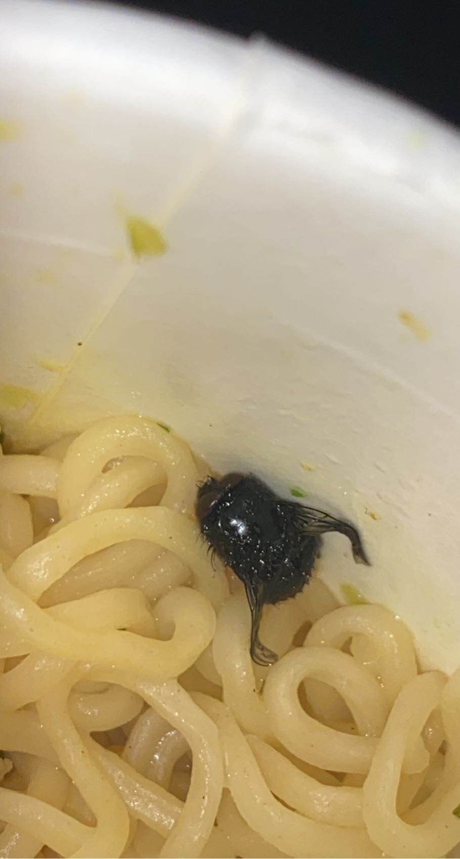 Mr. Noodles complaint Bug in cup