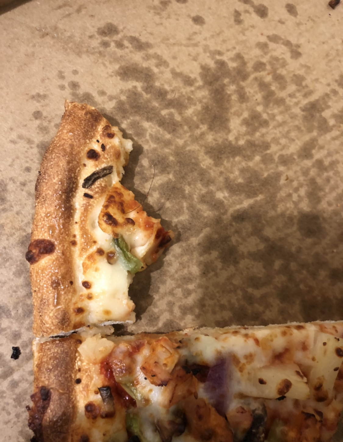 Dominos Pizza complaint Unhygienic pizza (with human hair)