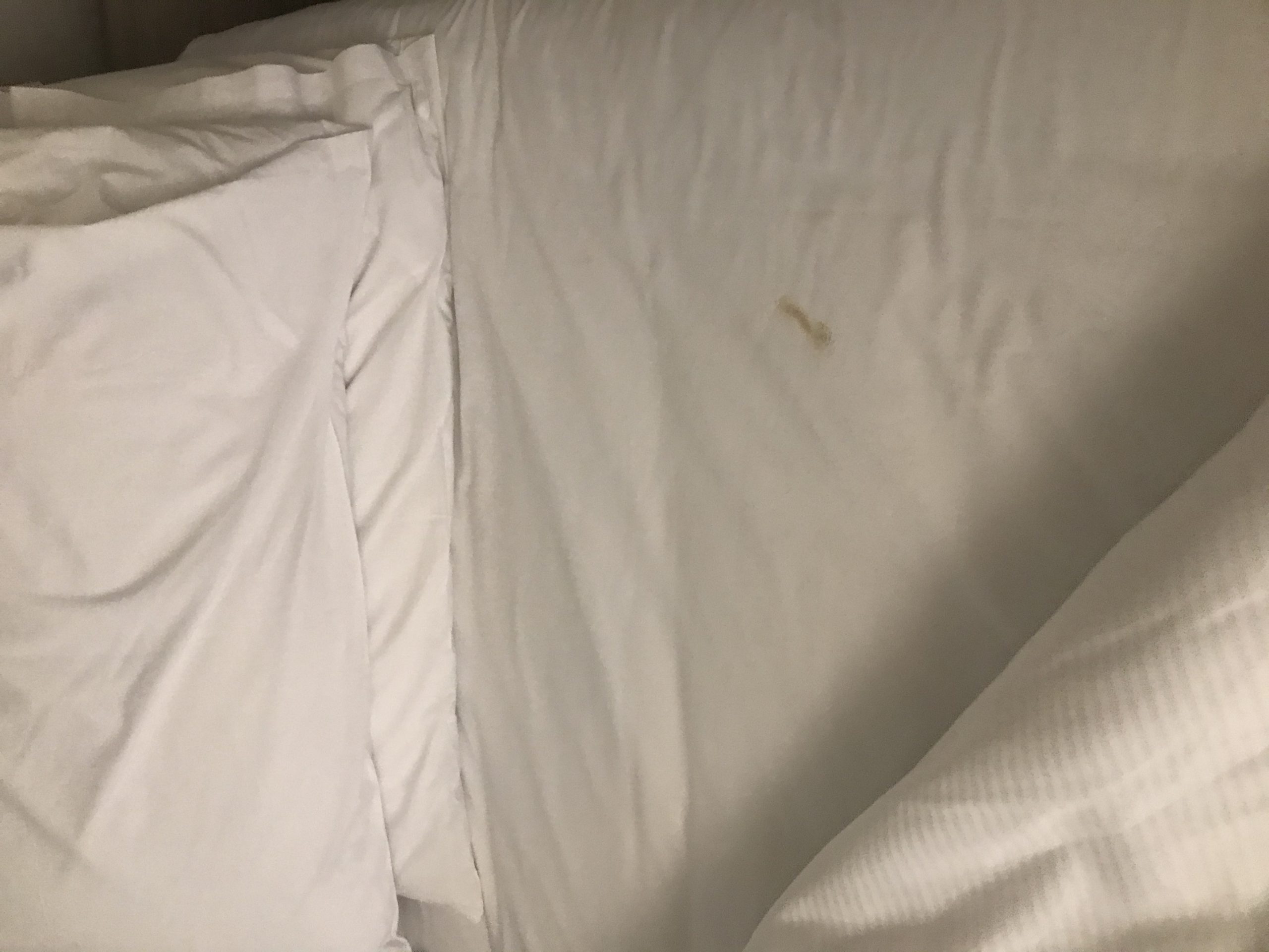 Hampton Inn by Hilton complaint Brown mark on white sheet when I pulled back the bedding