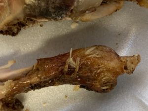 feathers on chicken leg
