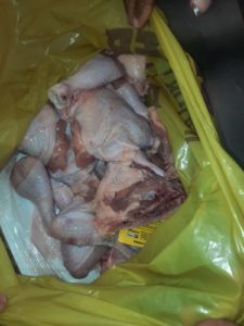Rotten chicken