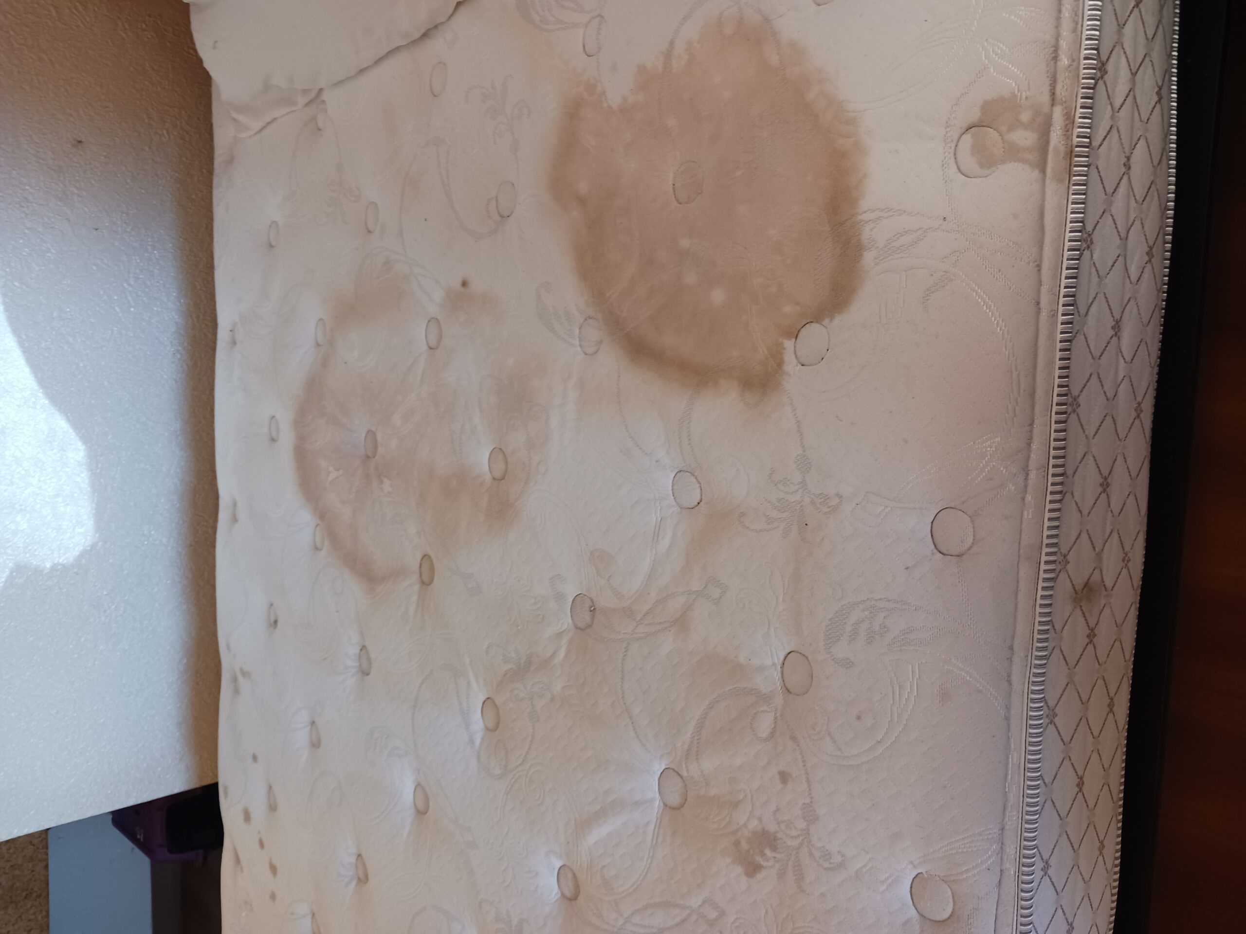 Motel 6 complaint Dirt Nasty Bed