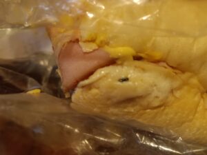 Their was a ant in my pre made sandwich I purchase from this location