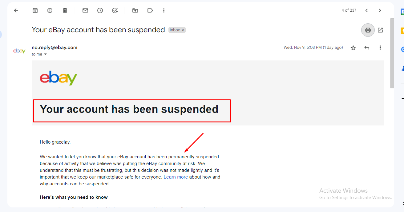 eBay Business Seller Account SUSPENDED