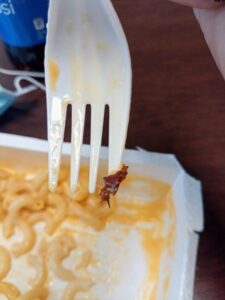 I found a scab in my frozen dinner!
