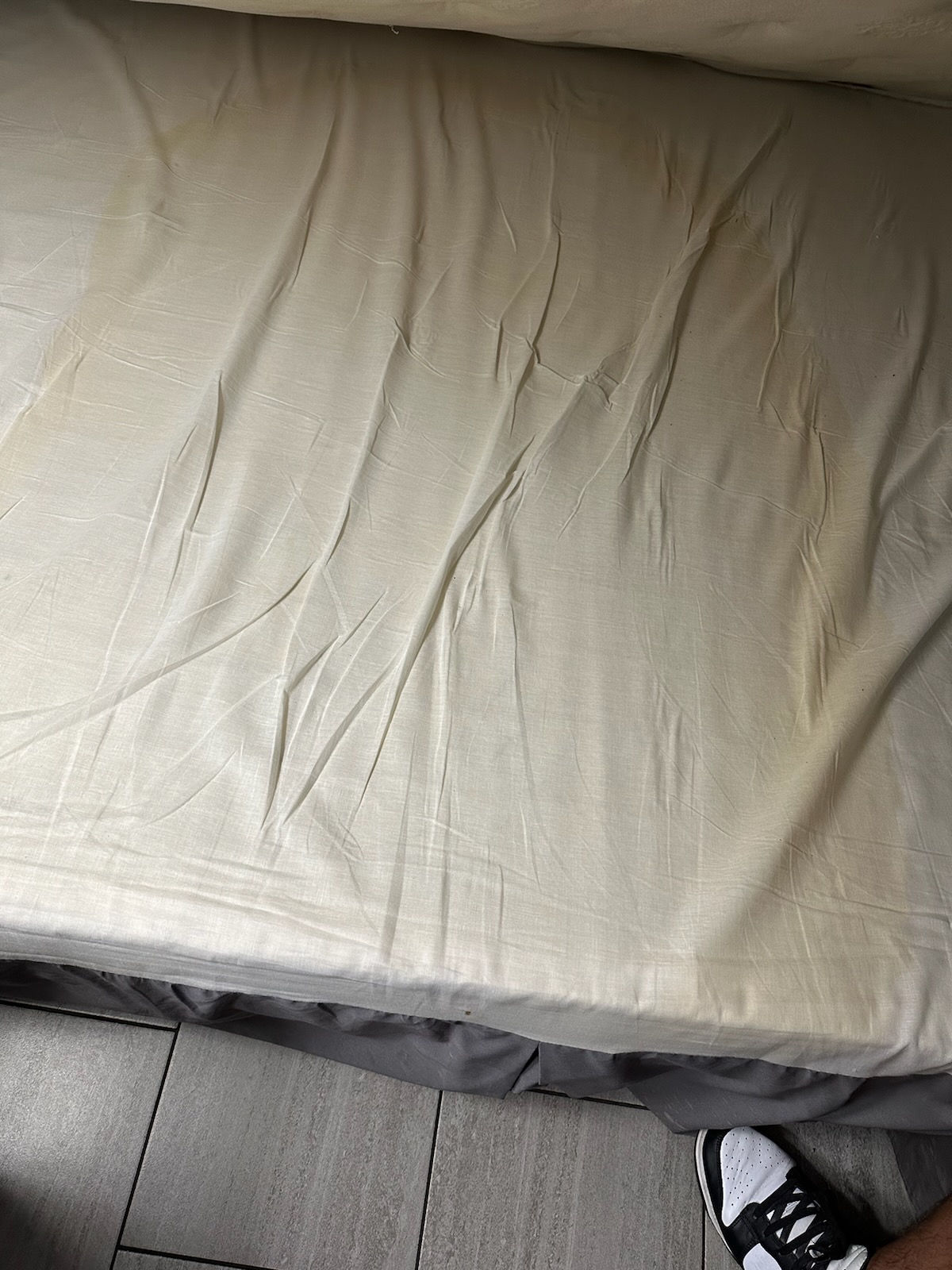 Budget Inn complaint Pee all over mattress, bugs