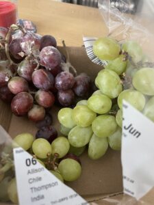 Mouldy grapes