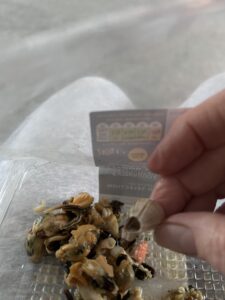 Seafood selection