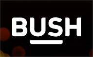 Bush logo